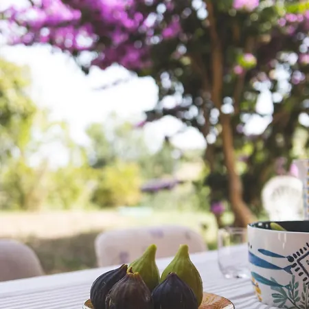 Bed & Breakfast Mariposa *