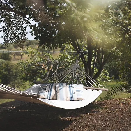 Mariposa Отель типа 